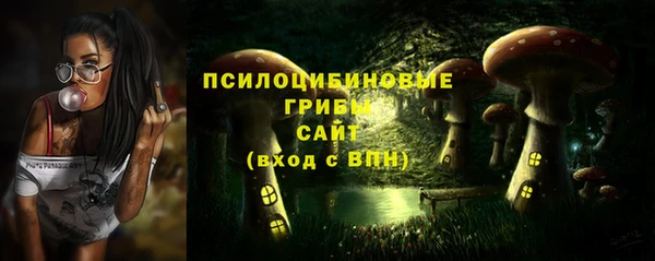 хмурый Козельск