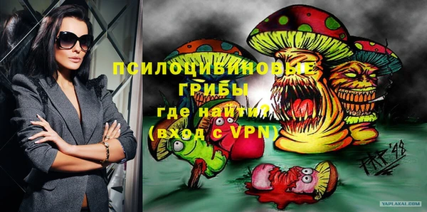 прущие грибы Кодинск