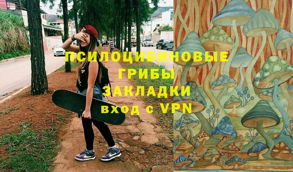 прущие грибы Кодинск