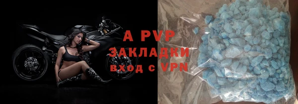прущие грибы Кодинск