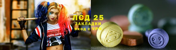 прущие грибы Кодинск