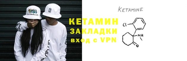 прущие грибы Кодинск