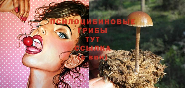 хмурый Козельск