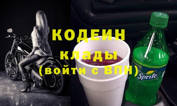 прущие грибы Кодинск