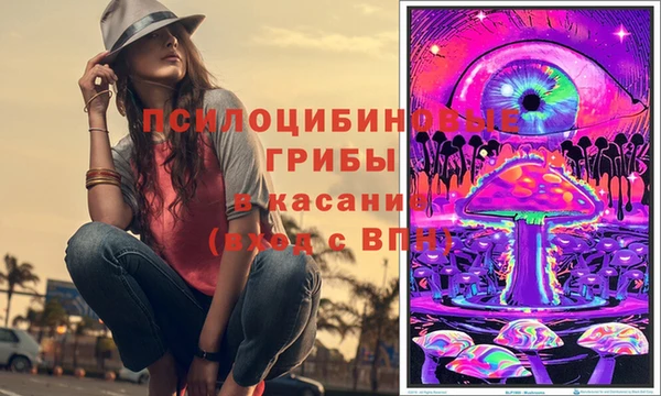 прущие грибы Кодинск