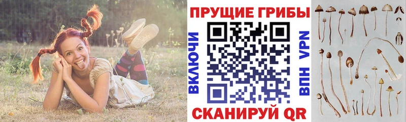 Купить  Великие Луки  Галлюциногенные грибы ЛСД 